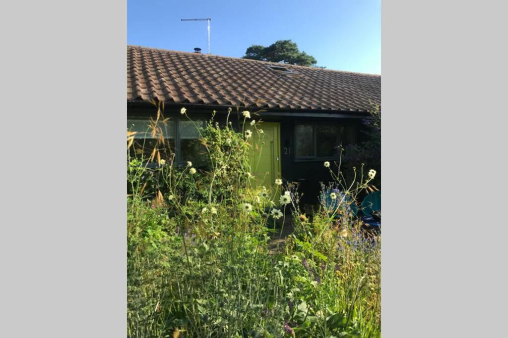 The Yellow Door Whitstable - Peaceful Retreat Close To Beach エクステリア 写真